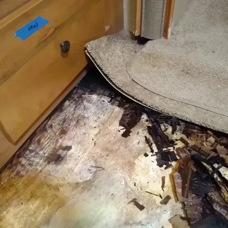 Best Wood Floor Water Damage Service in Cooke County, TX